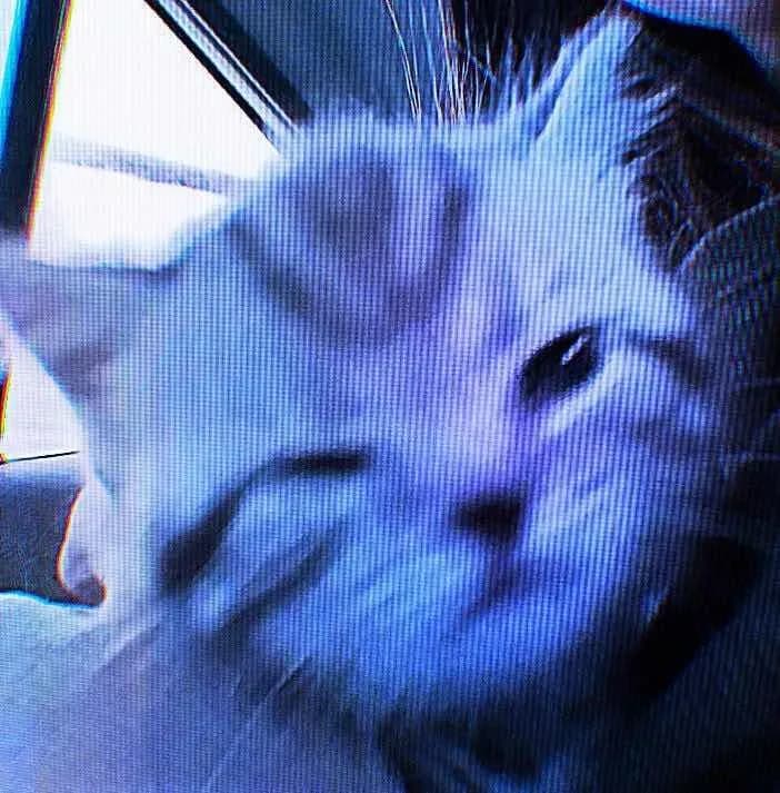 ninaopium's profile